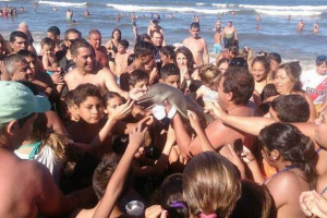 A turisták megölték a kis delfint a selfie számára
